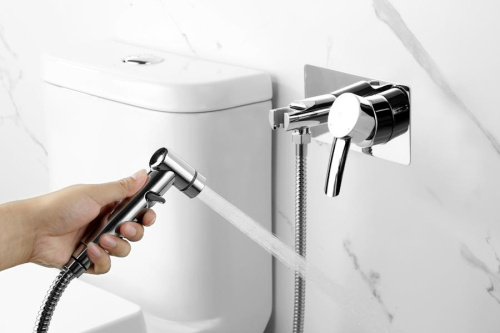 смеситель встраиваемый с гигиеническим душем lemark atlantiss lm3259c хром фото 2