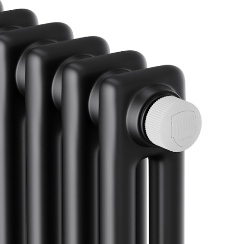 дизайн-радиатор royal thermo insignia vc2180 - 06 секц. ral9005m фото 3