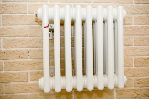 радиатор zehnder charleston 3037/20 v001 1/2" ral9016 фото 2